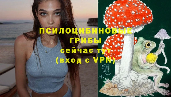 сатива Алексин